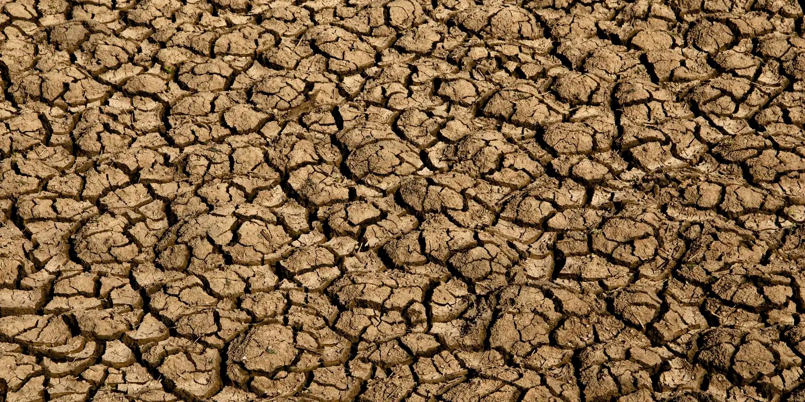 el nino:-entenda-o-fenomeno-que-intensifica-os-fenomenos-climaticos