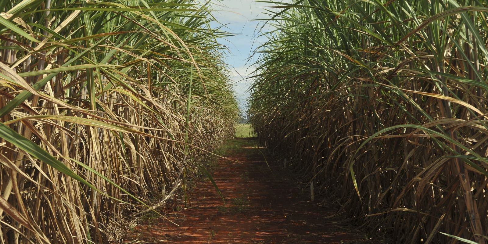 conselho-eleva-limite-de-remuneracao-do-eco-invest-brasil