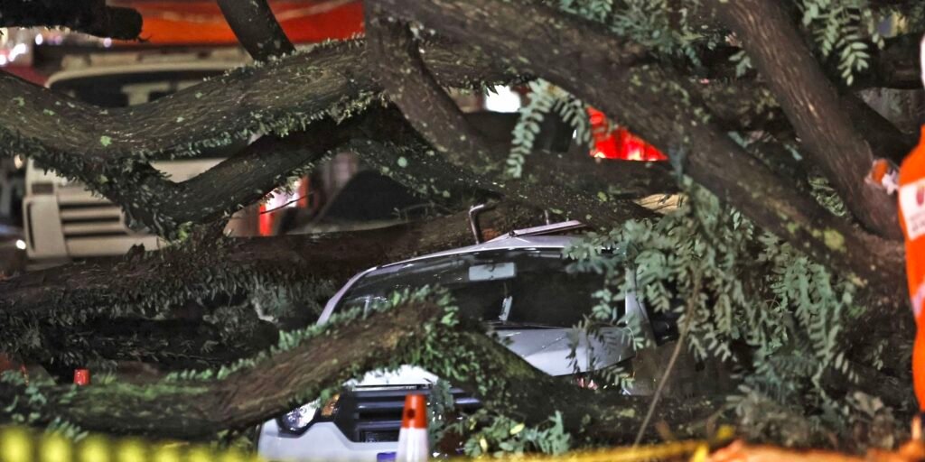chuvas-fortes-levam-defesa-civil-a-emitir-mais-de-50-alertas-em-sp