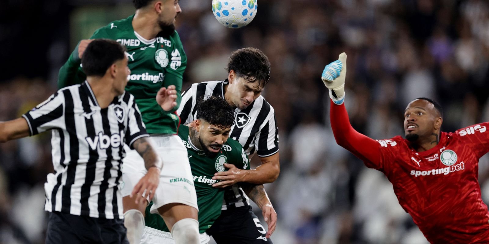 botafogo-segura-palmeiras-e-ajuda-flamengo,-novo-lider-do-brasileirao