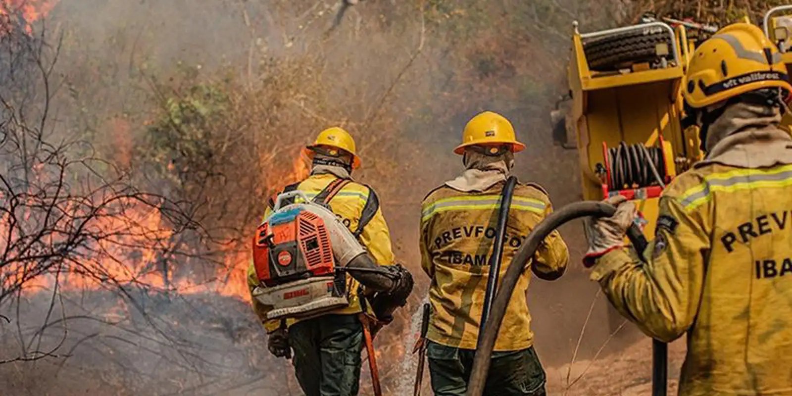 queimadas-levam-36-cidades-do-am-a-reconhecer-situacao-de-emergencia
