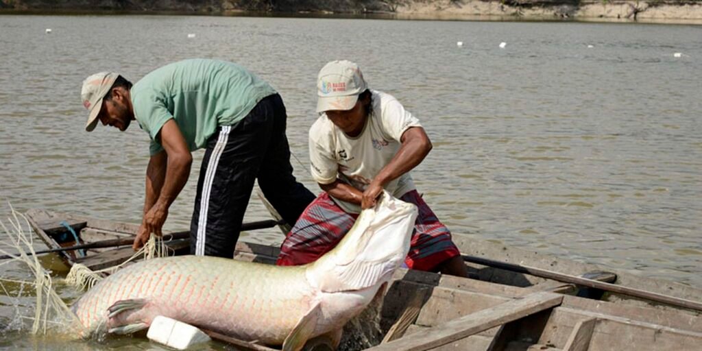 viva-maria-compartilha-experiencia-de-educomunicacao-na-amazonia