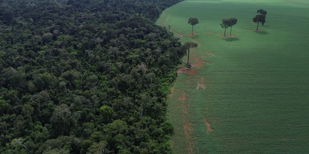 agro-cresce-561%-no-entorno-de-areas-protegidas-na-amazonia-em-41-anos