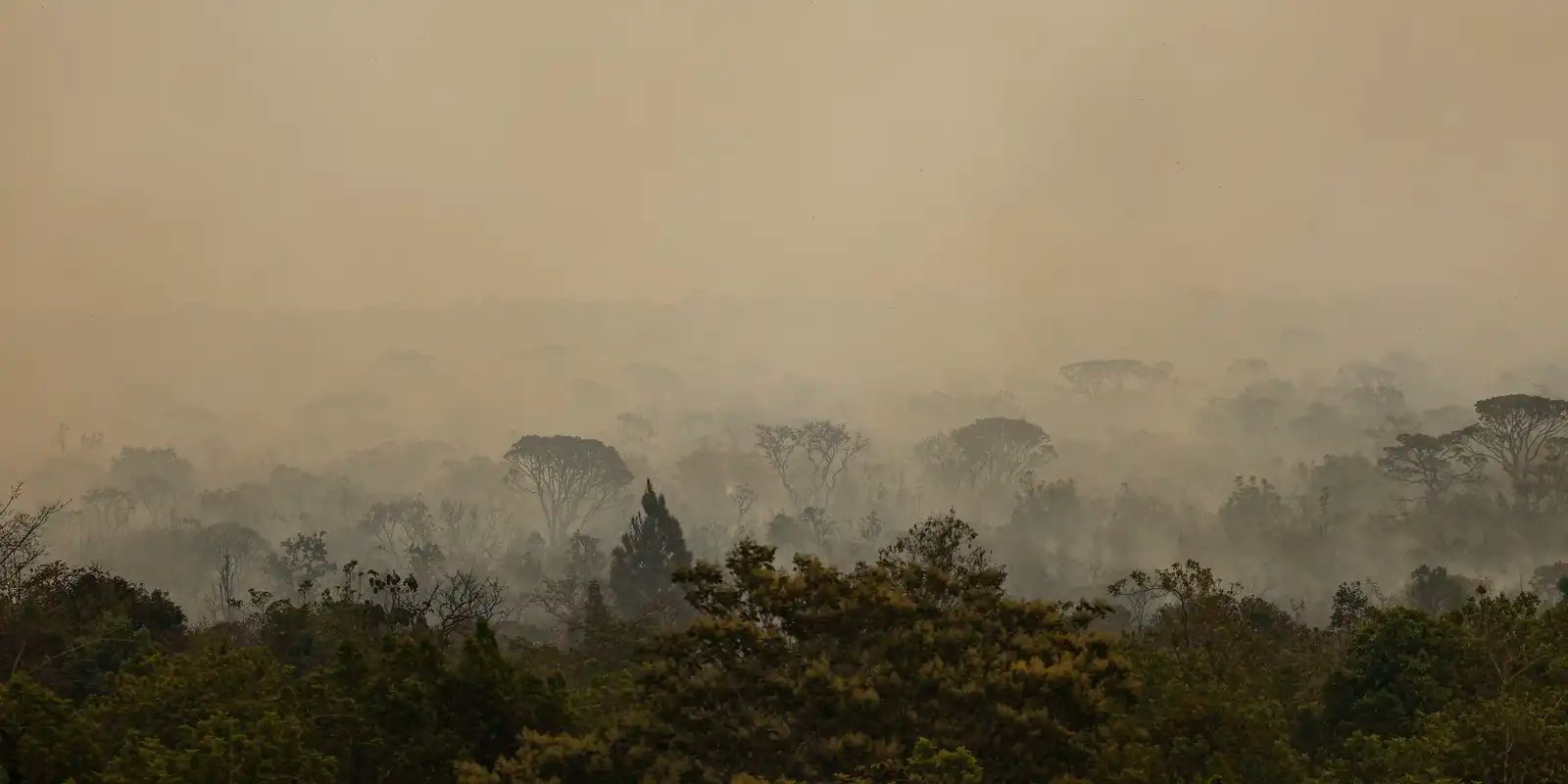 forca-nacional-do-sus-apoia-atendimentos-no-amazonas-apos-incendios