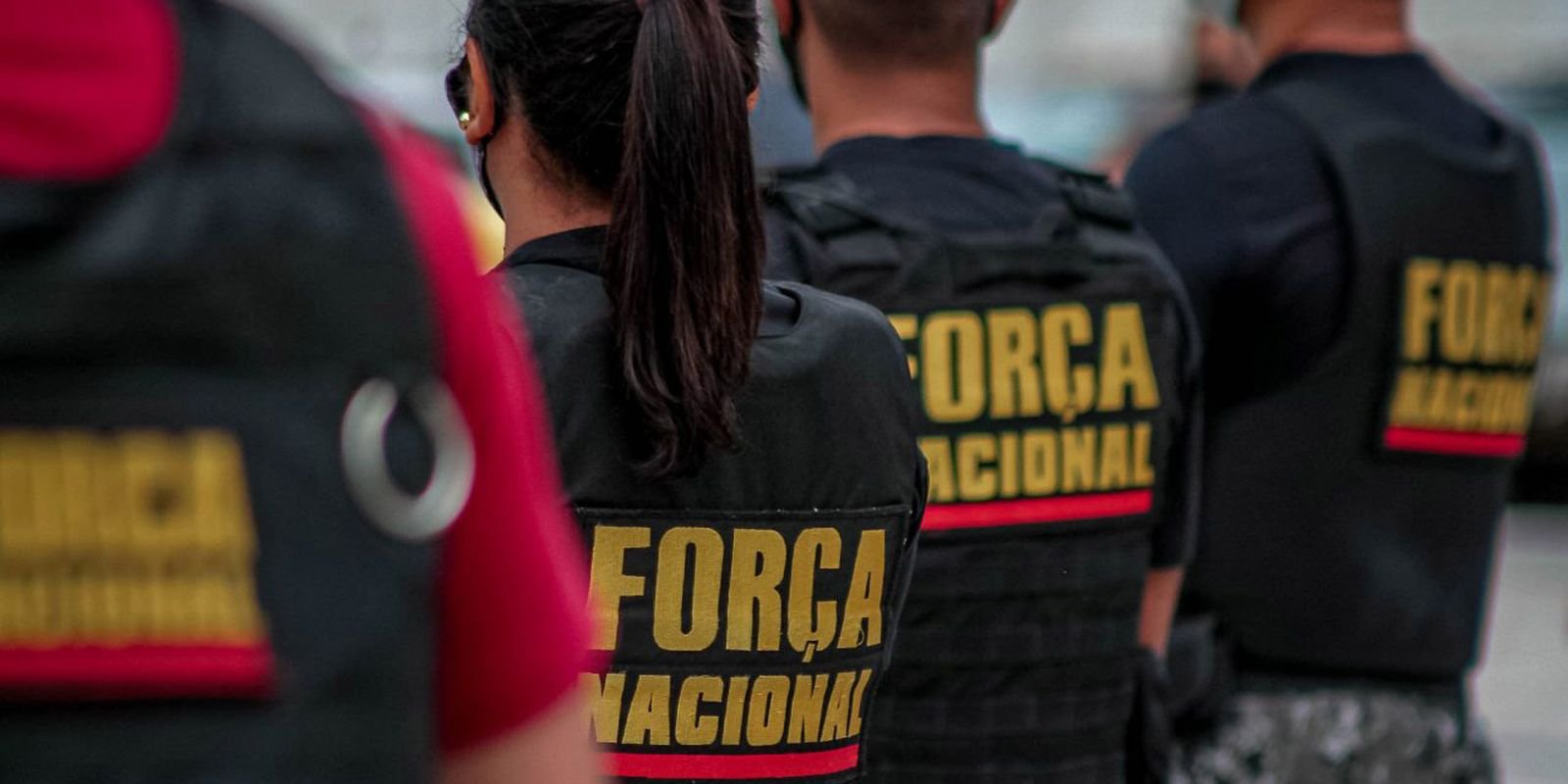 forca-nacional-e-pf-vao-combater-e-investigar-incendios-no-para