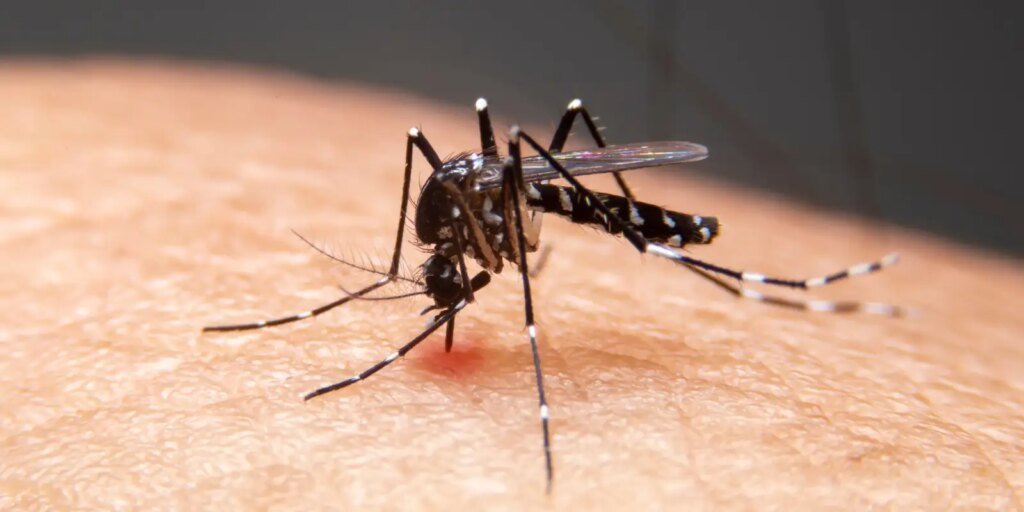 mudancas-climaticas-ja-causam-aumento-de-doencas-infecciosas-no-pais