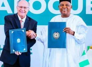 brasil-e-nigeria-querem-diversificar-pauta-comercial