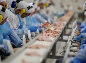 industria-criou-mais-de-910-mil-empregos-em-quatro-anos,-aponta-ibge