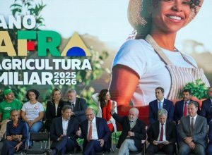 plano-safra-25/26-preve-r$-89-bilhoes-para-agricultura-familiar