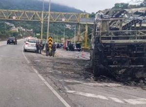 comeca-em-sp-audiencia-sobre-palmeirenses-que-emboscaram-cuzeirenses