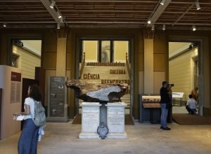 museu-nacional-do-rio-reabre-parcialmente-sete-anos-apos-incendio