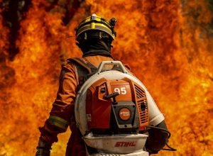 brasil-registra-queda-de-areas-queimadas-e-focos-de-calor