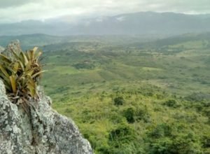 pesquisador-indigena-cataloga-150-plantas-medicinais-de-seu-territorio
