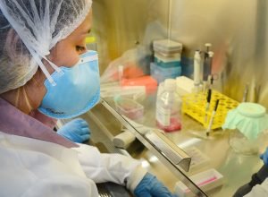 usp:-pesquisa-de-vacina-contra-zika-avanca-em-testes-com-camundongos