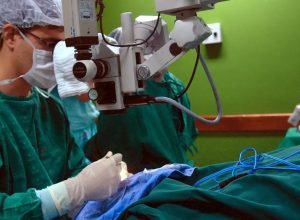 cancer-de-intestino-que-vitimou-preta-gil-e-o-3o-mais-comum-no-pais