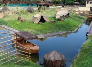 sobe-para-16-numero-de-galinhas-d’angola-mortas-no-bioparque-do-rio