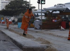 apos-ondas-gigantes,-cinco-pinguins-aparecem-mortos-na-orla-do-rio