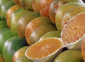 excecoes-do-tarifaco-representam-43,4%-do-valor-exportado-aos-eua
