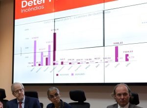 cerrado-e-pantanal-registram-reducao-de-areas-desmatadas