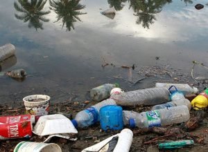 impactos-do-microplastico-sao-graves-e-afetam-o-ambiente-e-as-pessoas