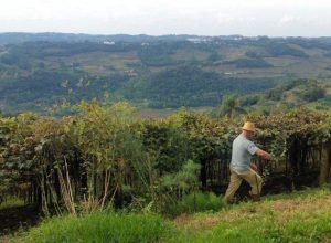 entrega-da-declaracao-do-itr-2025-comeca-nesta-segunda-feira