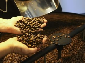 preco-do-cafe-cai-pela-primeira-vez-depois-de-18-meses,-diz-ibge