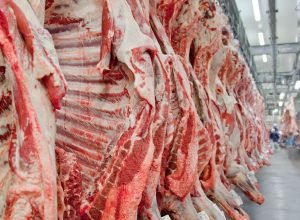 exportacao-de-carne-bovina-bate-recorde-em-mes-anterior-ao-tarifaco