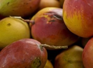 abrafrutas-apoia-plano-e-pede-atencao-a-pequenos-produtores