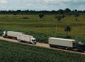 leilao-de-concessao-da-rota-agro-tem-desagio-de-19,7%-no-pedagio