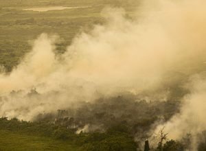 moradores-do-oeste-paulista-recebem-alerta-de-tempo-seco-por-celular