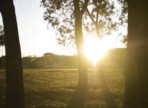 temporais-atingem-sul-e-baixa-umidade-preocupa-12-estados