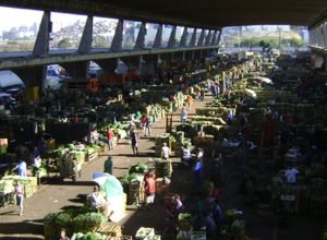 ceagesp-devolve-a-comerciantes-r$-90-milhoes-de-iptu-indevido