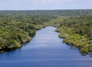 evento-em-belem-discute-transicao-ambiental-com-lideres-empresariais