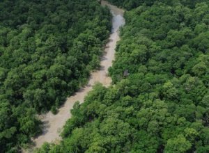 ministerio-aprova-projetos-de-economia-de-energia-na-amazonia