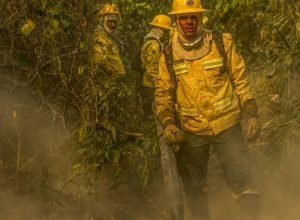fotografo-da-agencia-brasil-e-destaque-em-premio-internacional