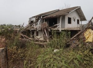 agricultores-afetados-por-clima-extremo-terao-credito-de-r$-12-bi