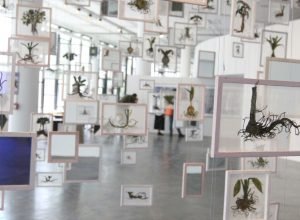 36a bienal de-sao-paulo-abre-suas-portas-neste-sabado,-no-ibirapuera