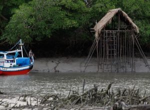 cop-30-coloca-amazonia-e-sustentabilidade-no-centro-do-debate
