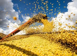 brasil-atinge-novo-recorde-com-350-milhoes-de-toneladas-de-graos