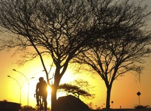 alerta-vermelho:-baixa-umidade-do-ar-atinge-tres-estados-e-o-df