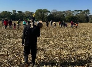 ms:-ministerio-dos-povos-indigenas-pede-mais-agentes-da-forca-nacional