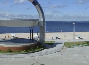 policia-ambiental-resgata-onca-pintada-ferida-por-tiros-no-rio-negro