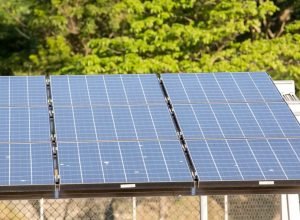 ceara:-associacao-alerta-para-avanco-de-usinas-solares-na-caatinga