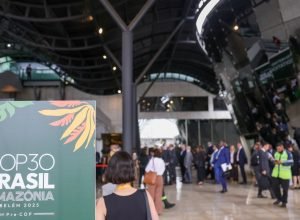 cop30-tera-10-representantes-do-vaticano