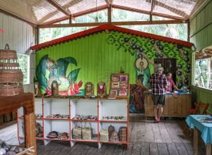 programa-viva-maria-destaca-mulheres-e-bioeconomia-amazonica