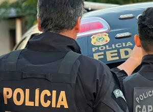 operacao-da-pf-em-guarulhos-impede-trafico-de-animais-silvestres