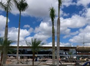 cerca-de-98%-das-obras-planejadas-para-a-cop30-estao-concluidas