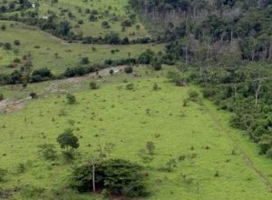 governo-prorroga-prazo-para-georreferenciamento-de-imoveis-rurais