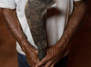 fronteira-cerrado:-desmatamento-esta-ligado-a-conflitos-e-grilagem