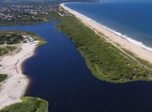 preservacao-da-mata-atlantica-e-destaque-no-summit-agenda-sp-+-verde